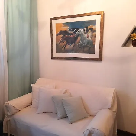 ζoe Guest house